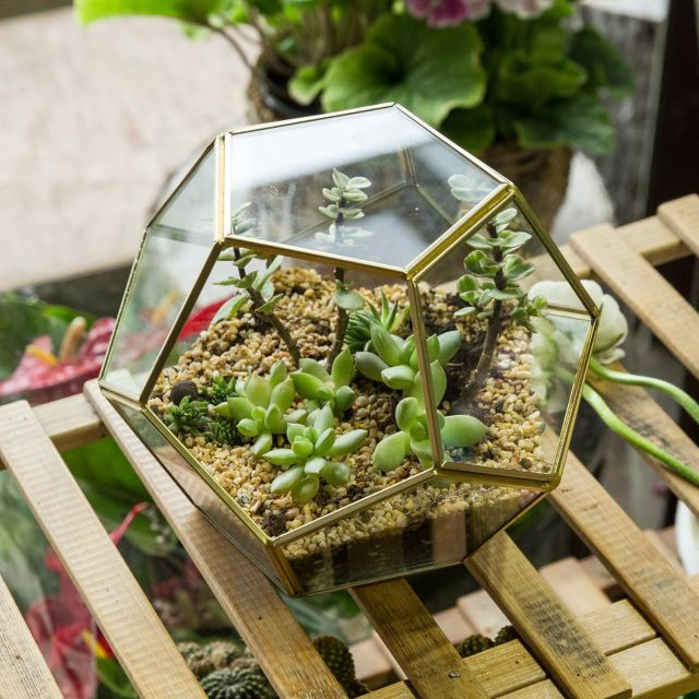 Glass container glass greenhouse is suitable for succulent plants