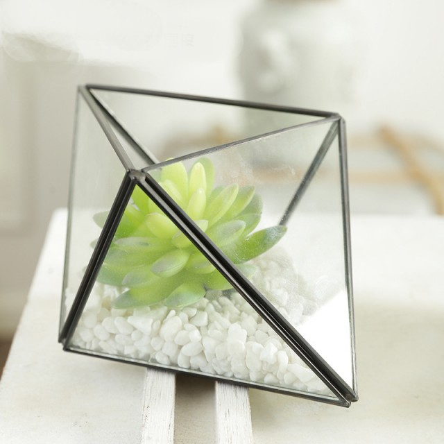 Glass container glass greenhouse plant glass container