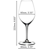 Elegant champagne glass