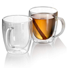 Insulated double wall glass cup With handle
